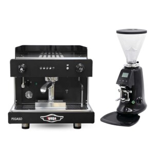 Combo Wega Pegaso EVD 1Gr Và JX600AD